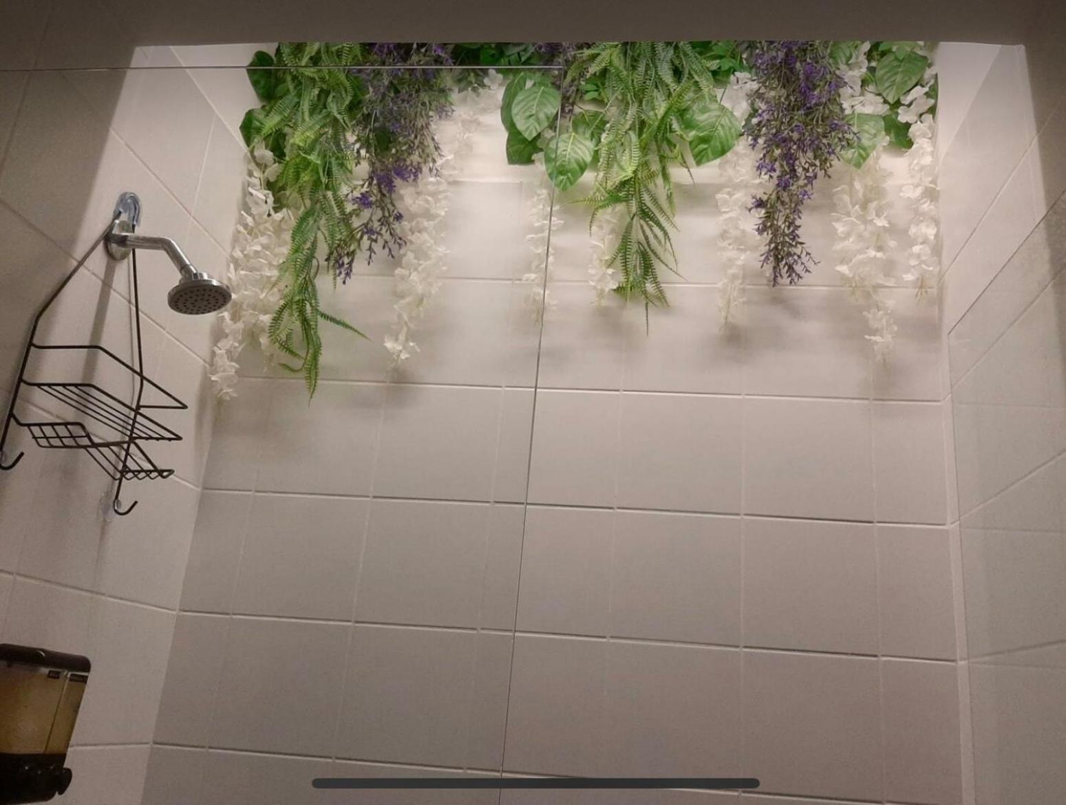 Loft - Patio Privado - Primer Parque Laureles Appartement